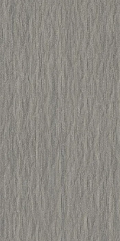 Ergon Elegance Pro Mural Dark Grey Naturale 60x120 / Эргон Элеганце Про Мораль Дарк Грей Натуралье 60x120 